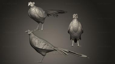 Bird figurines (STKB_0063) 3D model for CNC machine